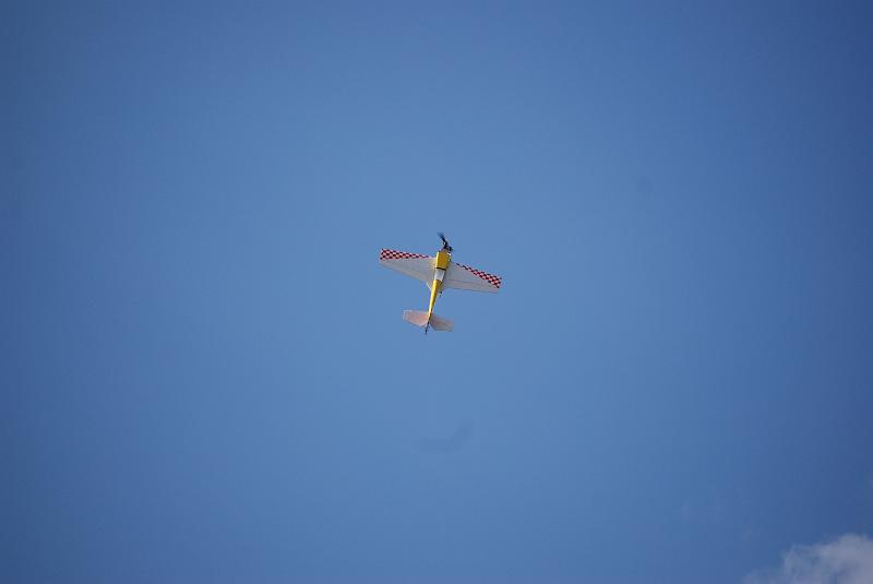 DSC_0255.JPG