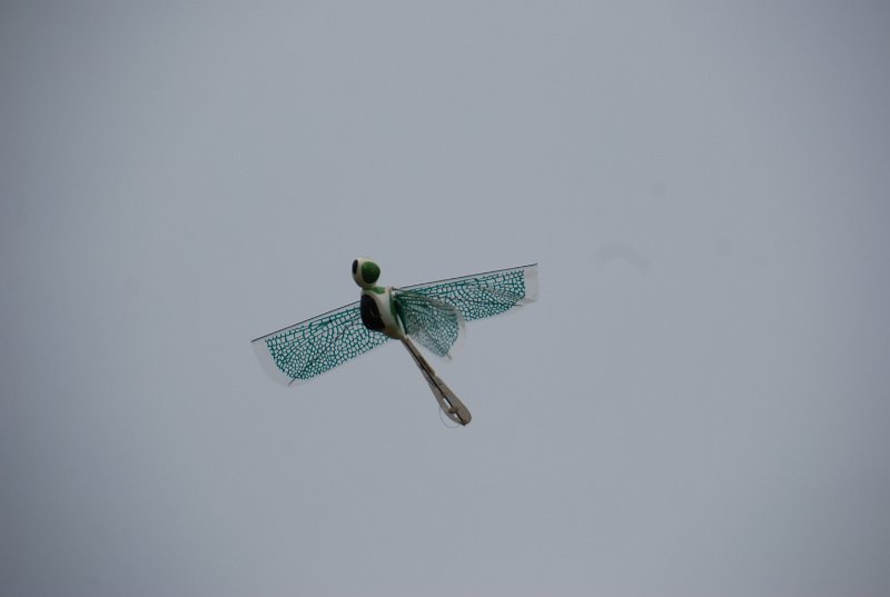 DSC_0139.JPG