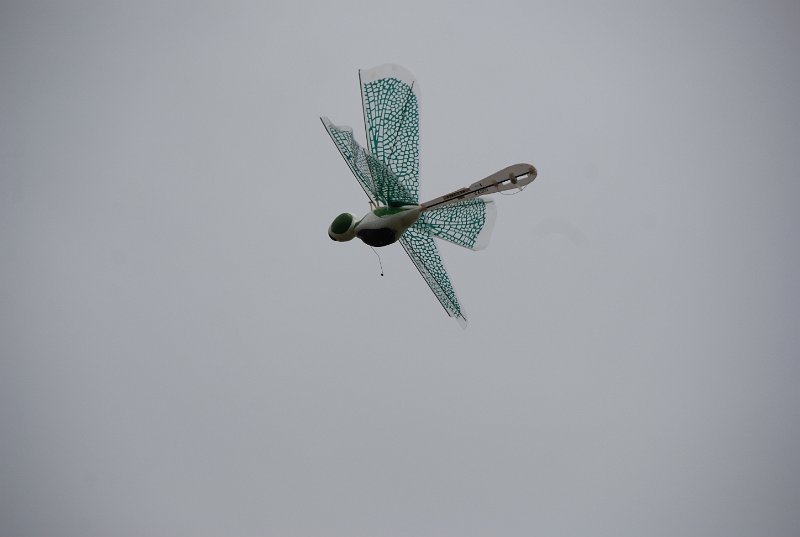 DSC_0140.JPG