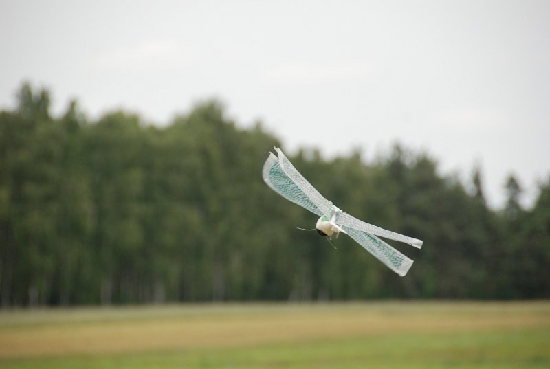 DSC_0141.JPG