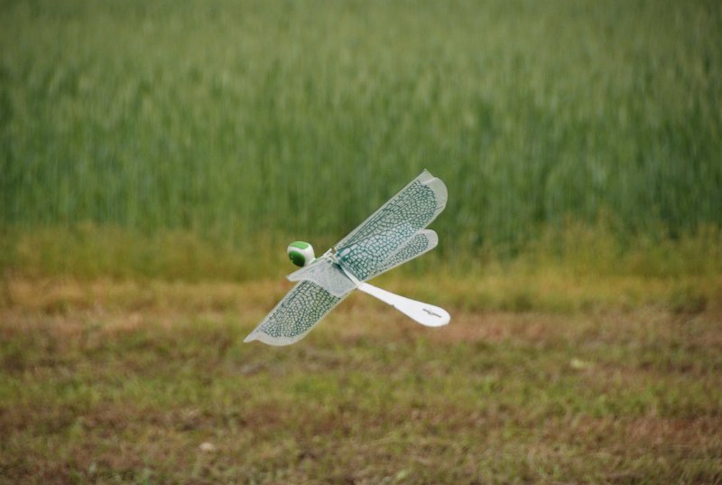 DSC_0142.JPG