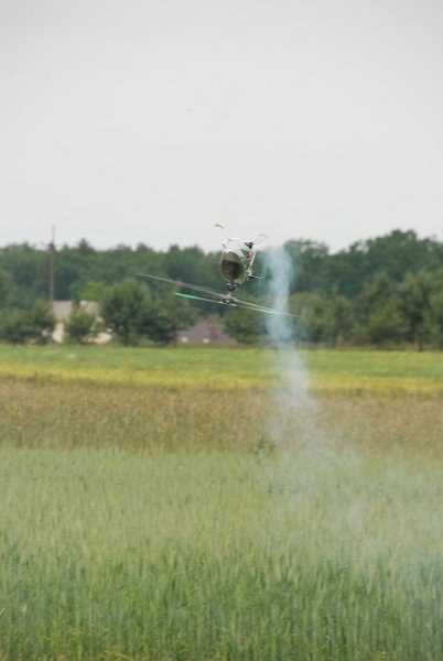 DSC_0166.JPG