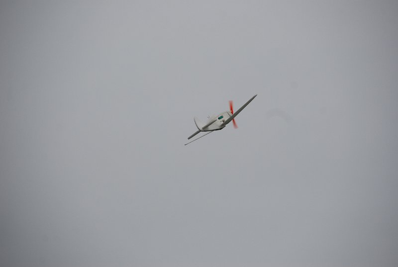 DSC_0185.JPG