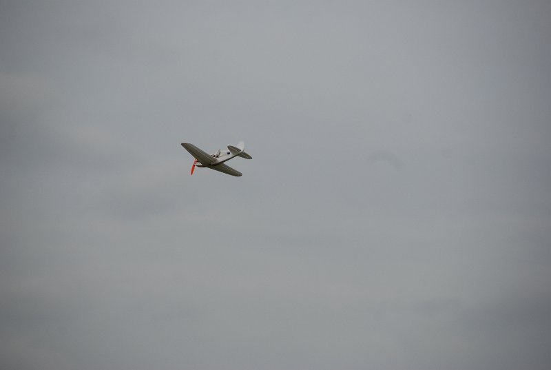 DSC_0186.JPG