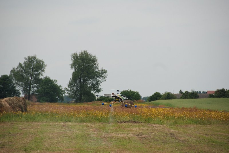 DSC_0195.JPG