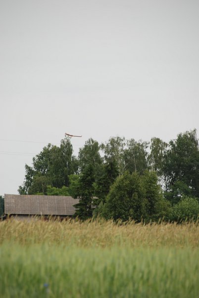 DSC_0208.JPG