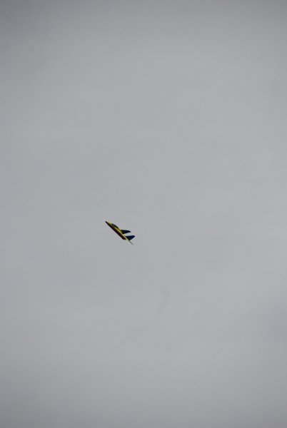 DSC_0209.JPG