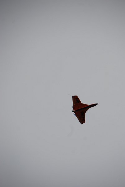 DSC_0210.JPG