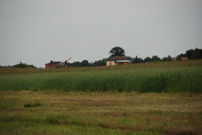 DSC_0219.JPG