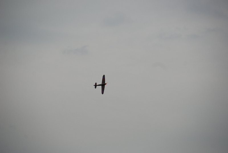 DSC_0224.JPG