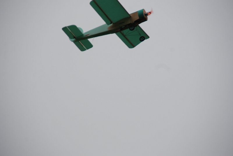 DSC_0225.JPG