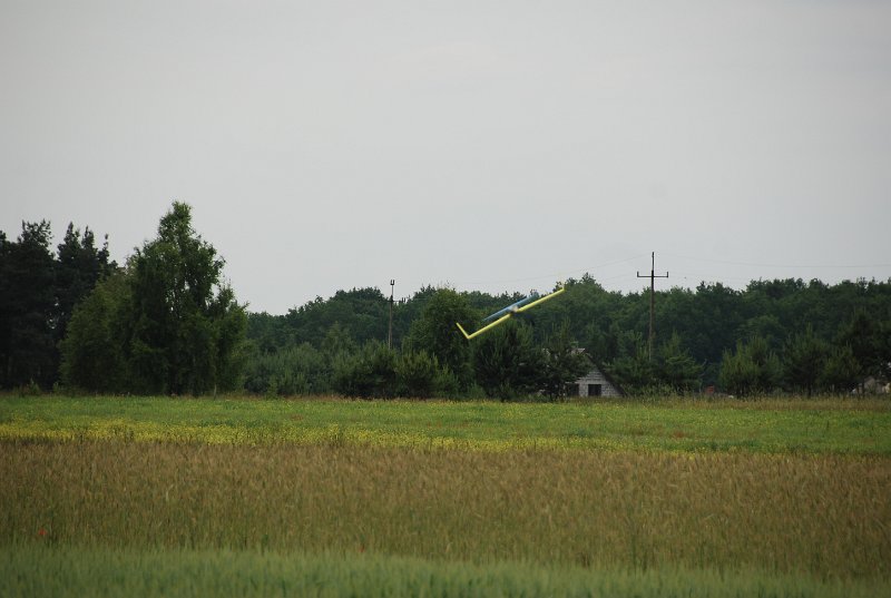 DSC_0230.JPG