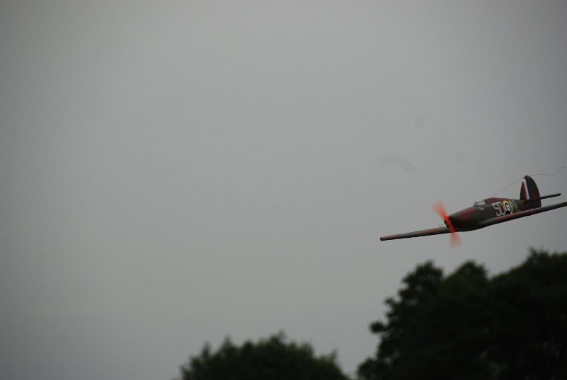 DSC_0236.JPG