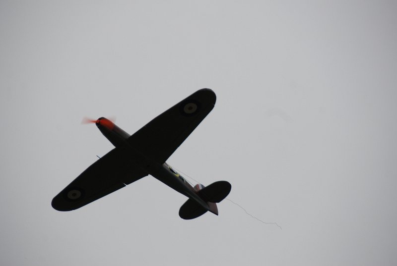 DSC_0237.JPG
