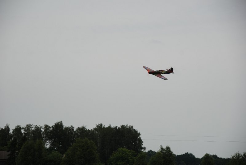 DSC_0238.JPG