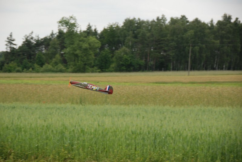 DSC_0239.JPG