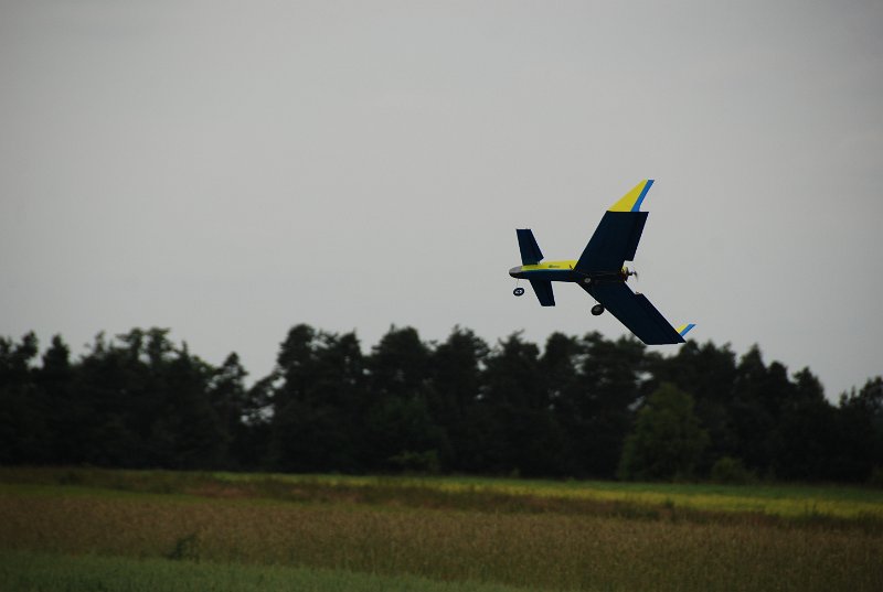 DSC_0246.JPG
