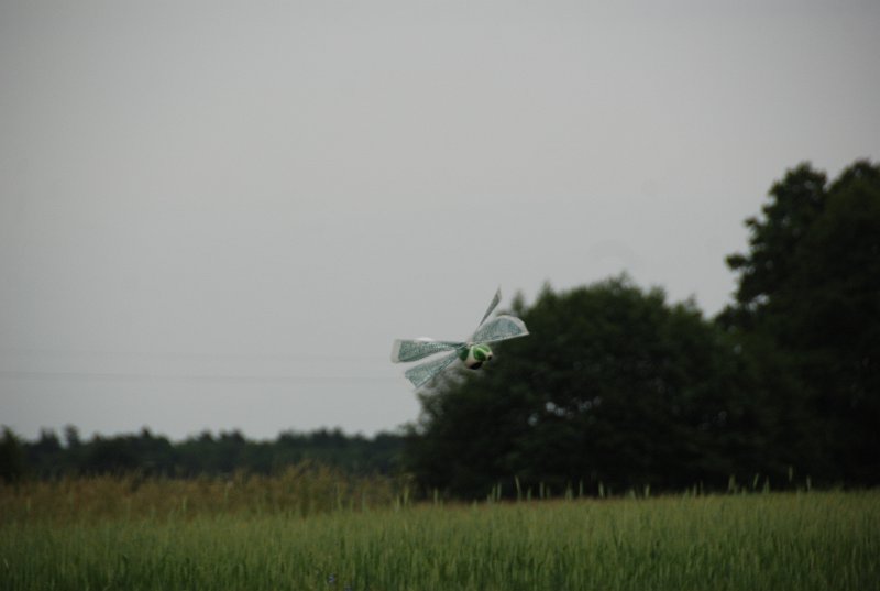 DSC_0270.JPG