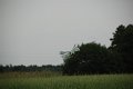 DSC_0270