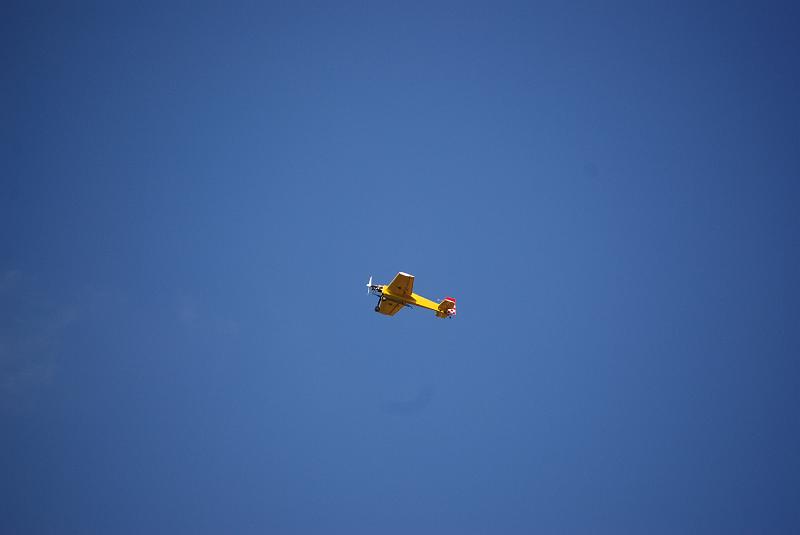 DSC_0287.JPG