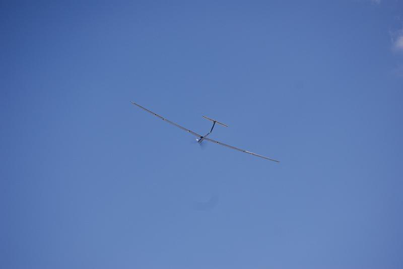 DSC_0316.JPG