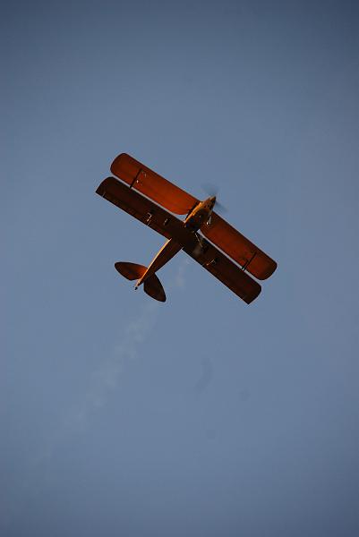DSC_0080.JPG