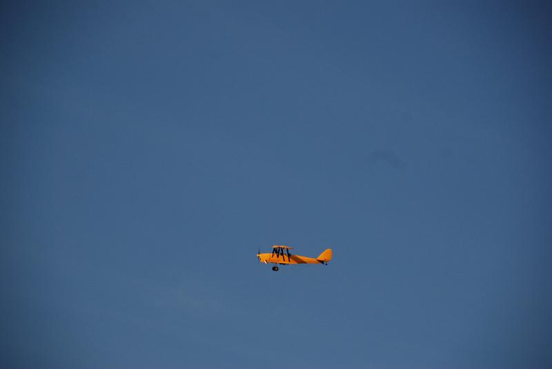 DSC_0084.JPG