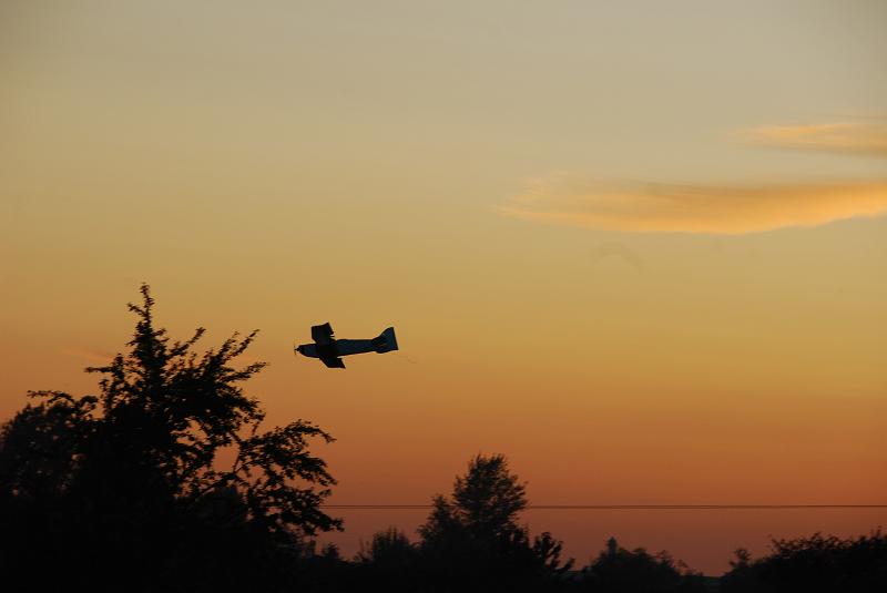 DSC_0124.JPG